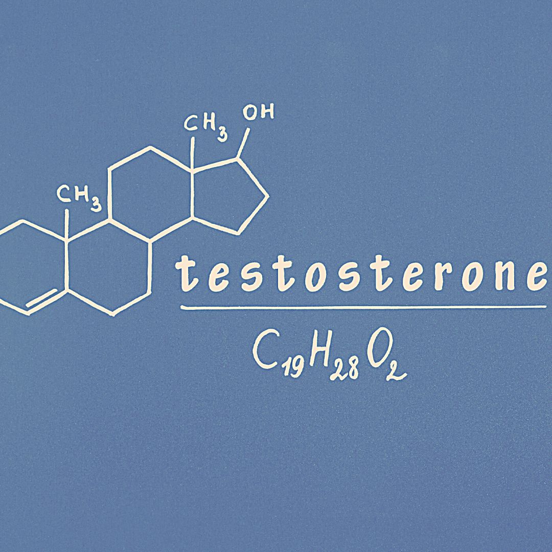 Testosterone Check - Champions Point Family Clinic